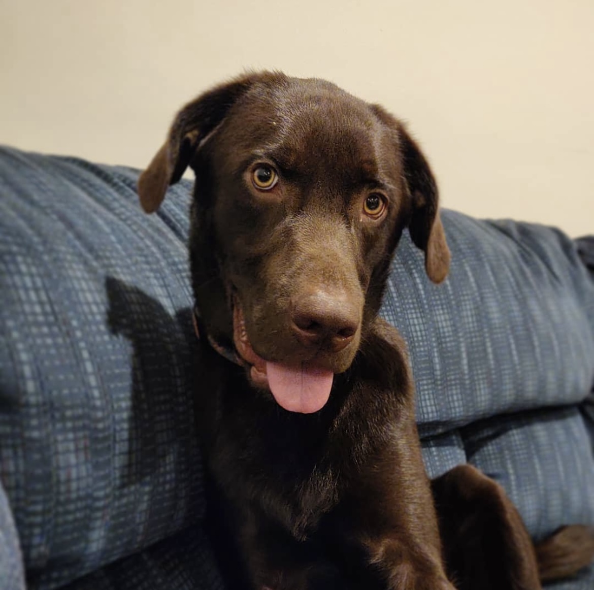 Settling into his new home