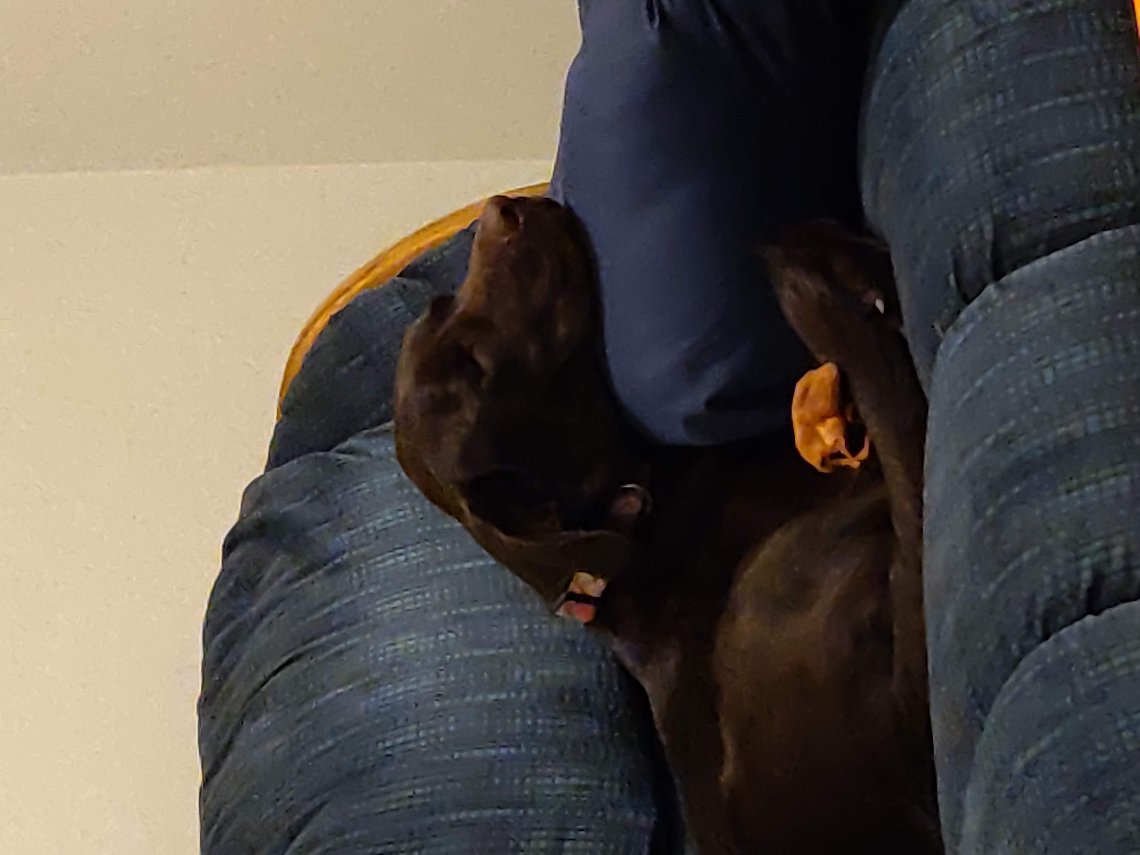 Settling into his new home