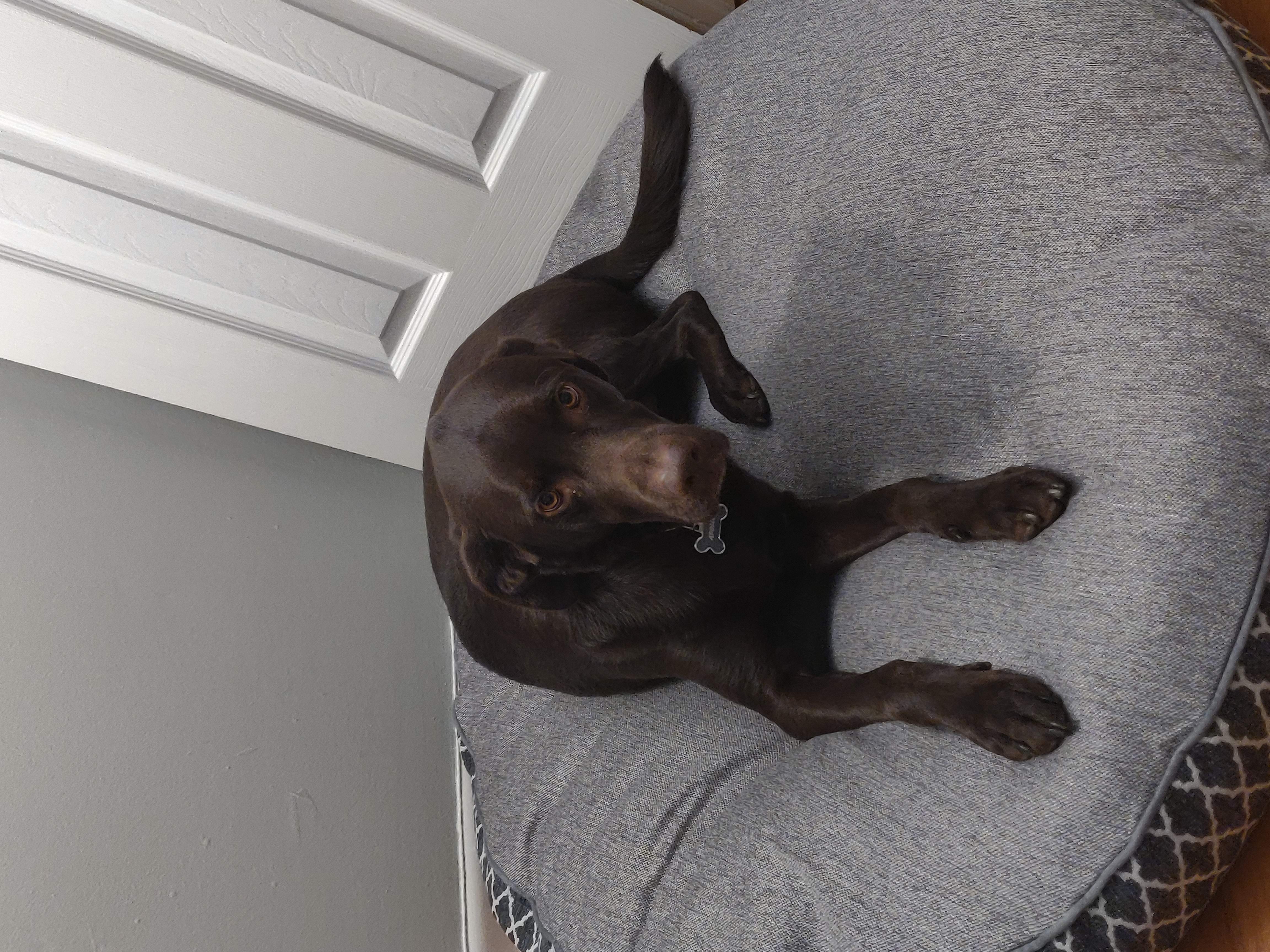 Settling into his new home