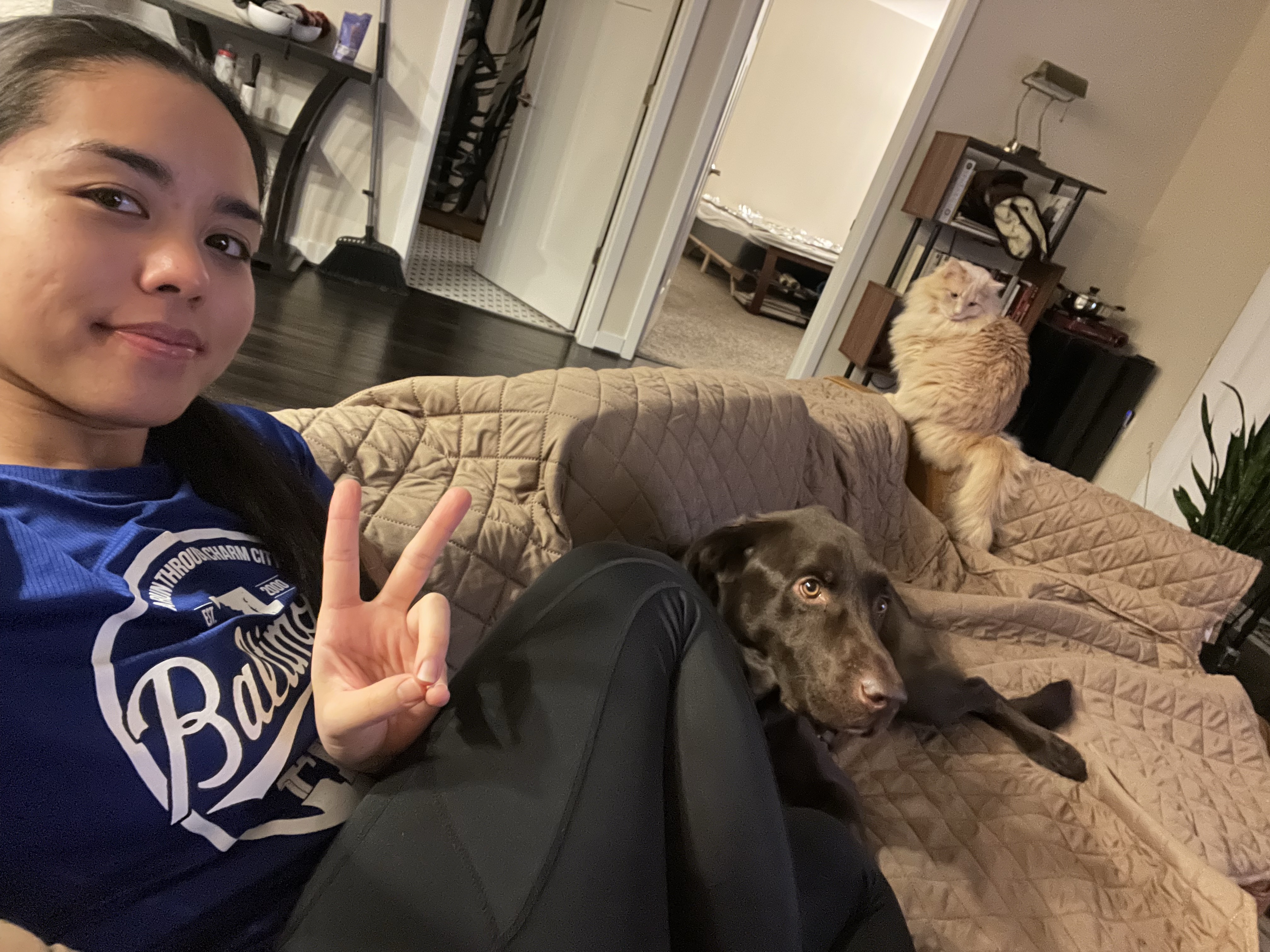 Apollo at home